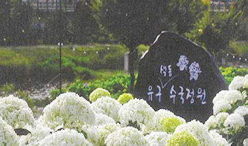 제1회 공주유구색동수국정원 꽃 축제 개최 6만 여명 방문 이미지