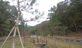 수목장 전경 이미지