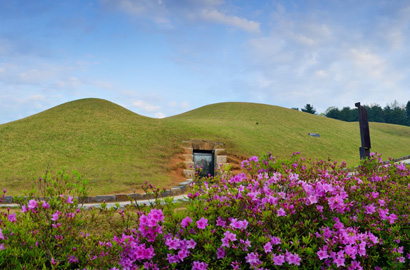 Ancient Tombs in Songsan-ri - Spring