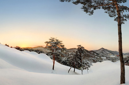 Ancient Tombs in Songsan-ri - Winter