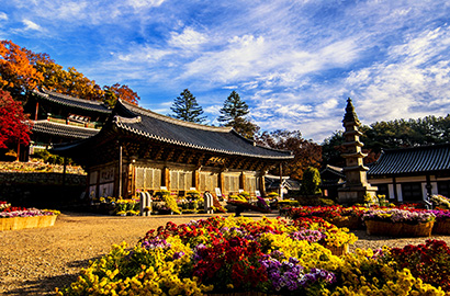 麻谷寺 秋天