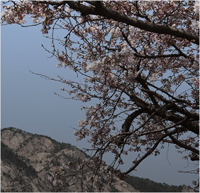 계룡산