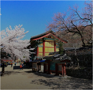 갑사