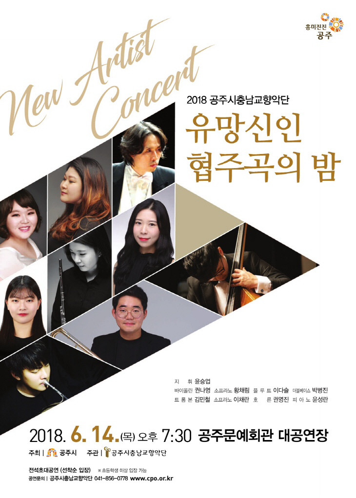 공주시 충남교향악단, 2018 유망신인 협주곡의 밤 개최 이미지