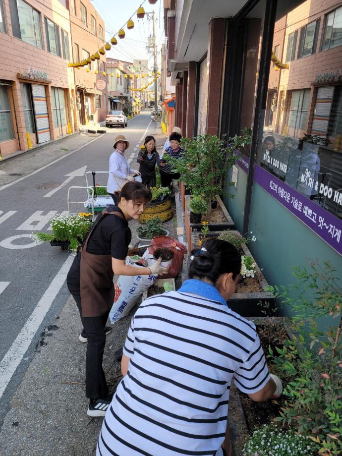 [보도자료]공주시, '원도심 꽃 심기' 상가 환경개선 이미지