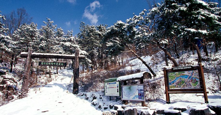 연미산미술공원 - 서재석 | 입선 이미지