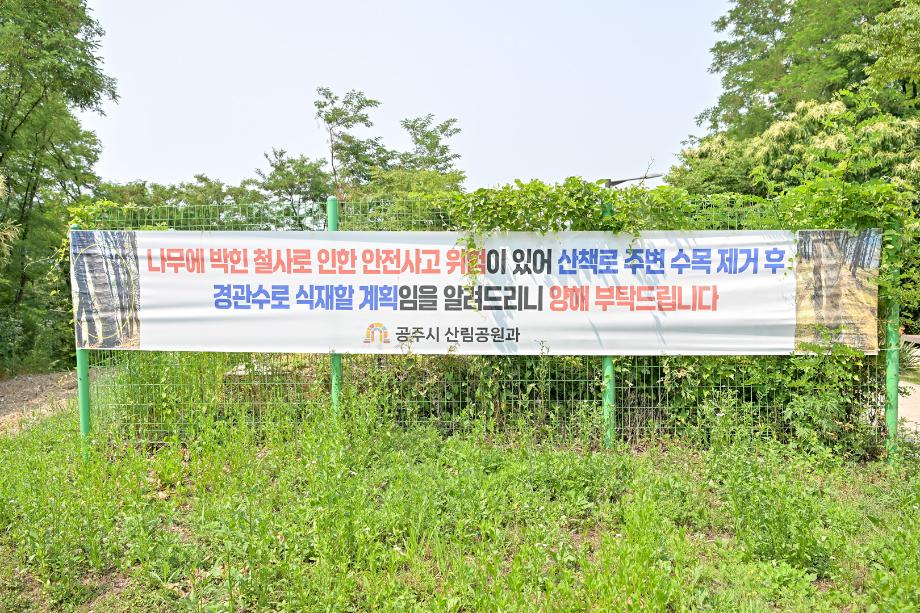 해당파일이미지