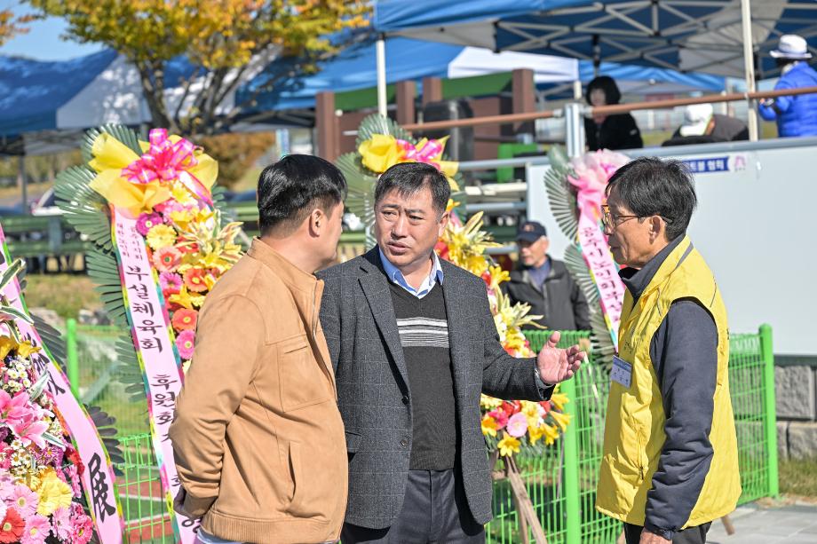 해당파일이미지