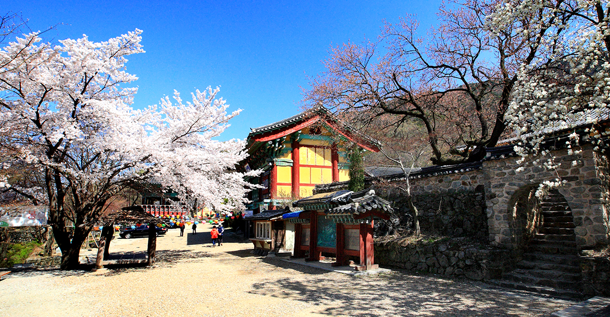 甲寺