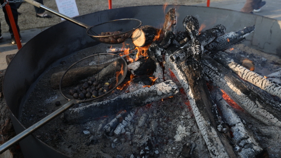 [冬]冬の公州焼き栗祭り