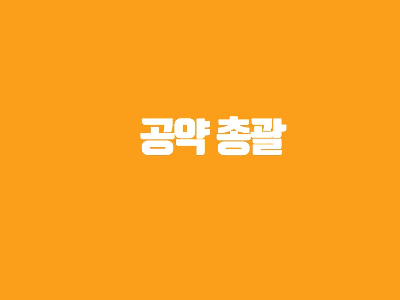 공약 총괄