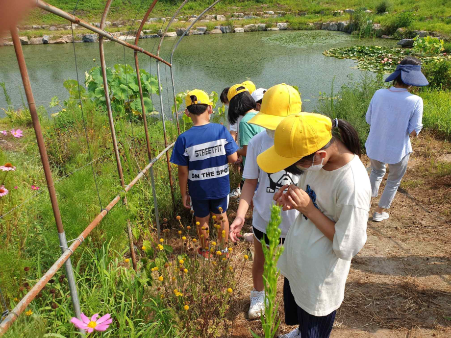 2021 탄천면 평생학습 '체험하는 환경교육(꼬마정원사)' 이미지