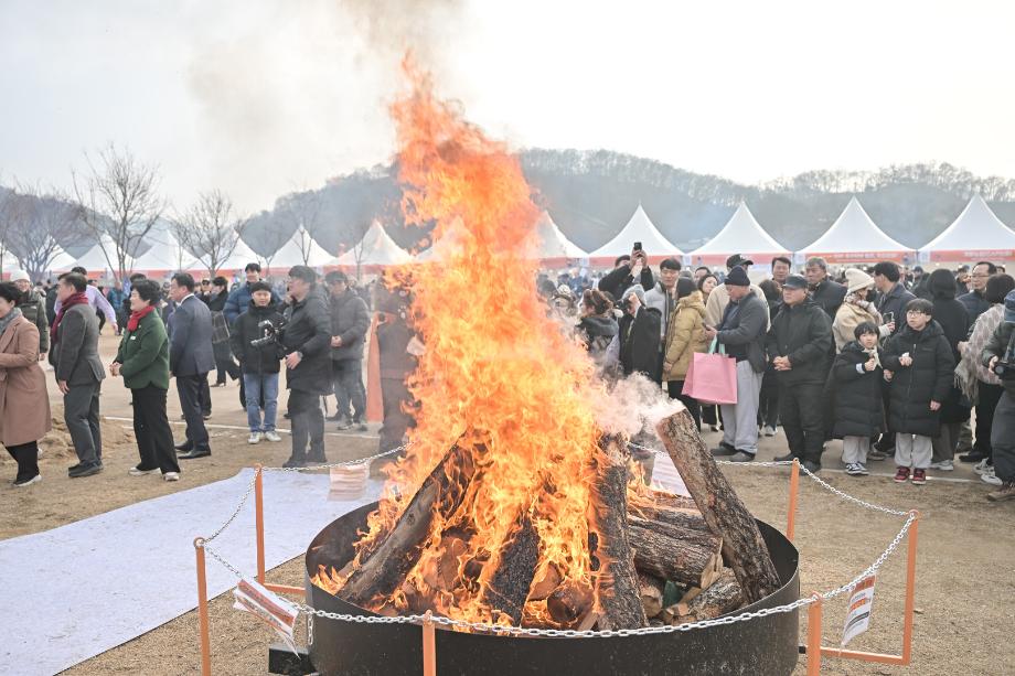 해당파일이미지