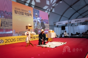 밤 매직쇼 대표이미지