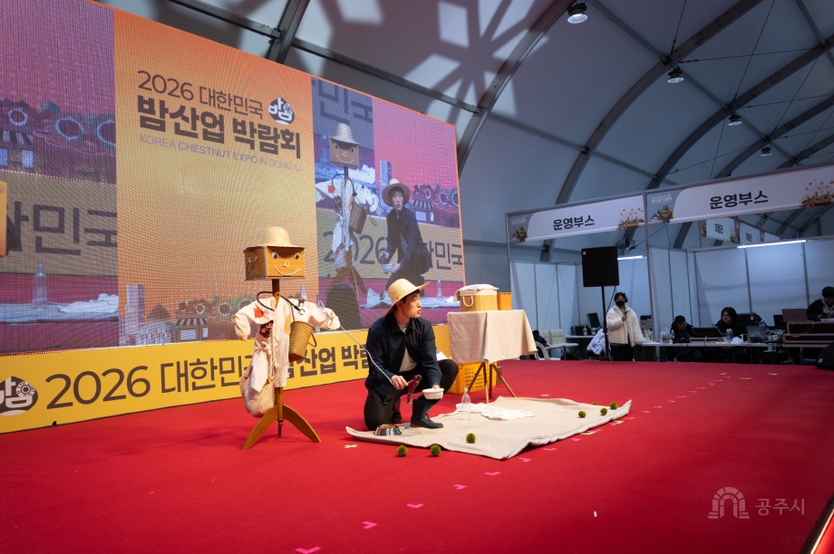 밤 매직쇼