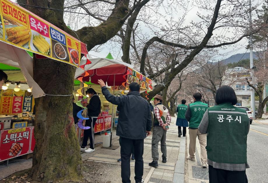 계룡산 벚꽃축제
