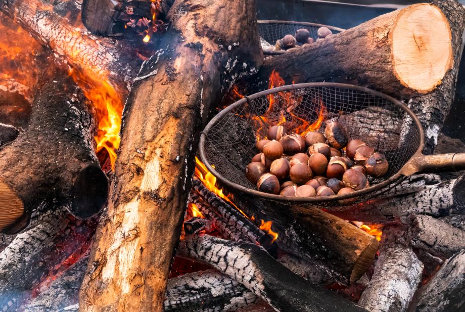 제9회 겨울공주 군밤축제1